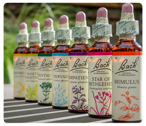 Huiles de fleurs de bach - Mes outils